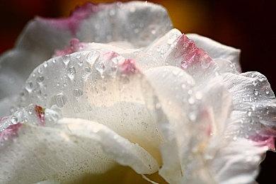 EA成立新工作室 开发以《战地》为背景的叙事战役